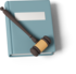 A judge gavel lays on top of a book